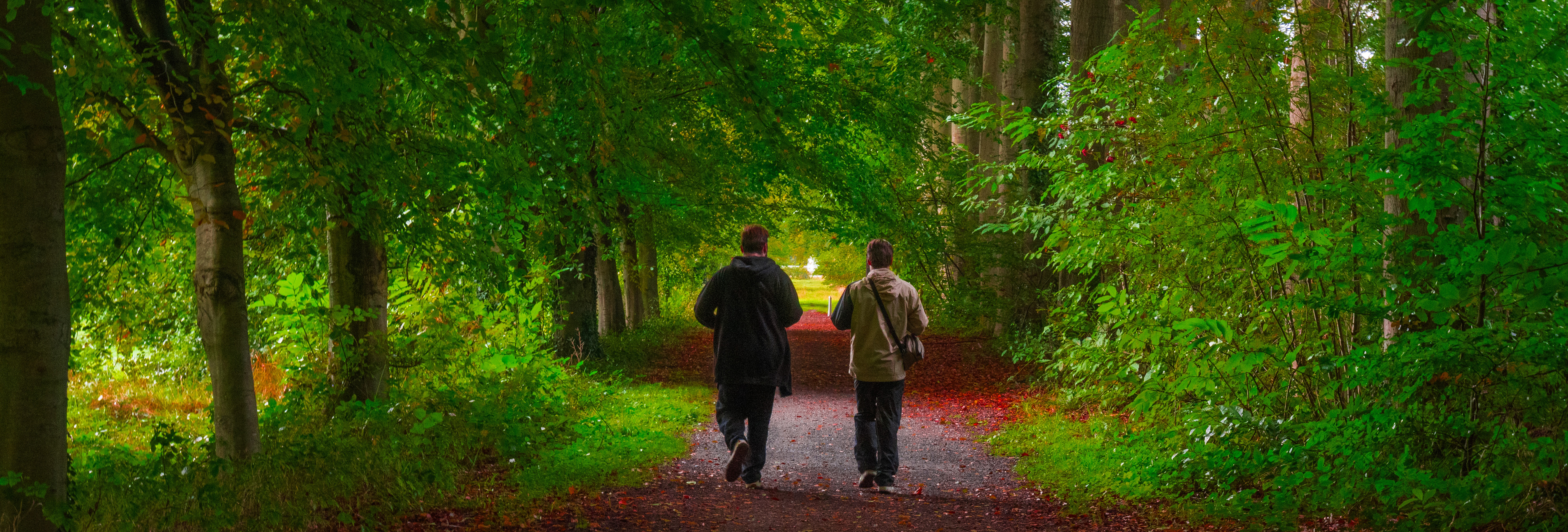 wandelen-in-bos